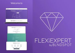overení profesionáli na platforme FlexiExpert